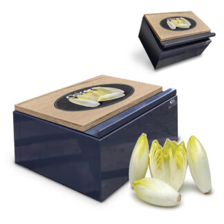 CB-3040 Chicoreebox